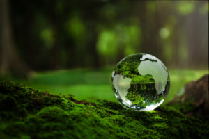 iStock 1438977574 - : Phosphore n°5 - climat : financer les paysanneries de petite surface