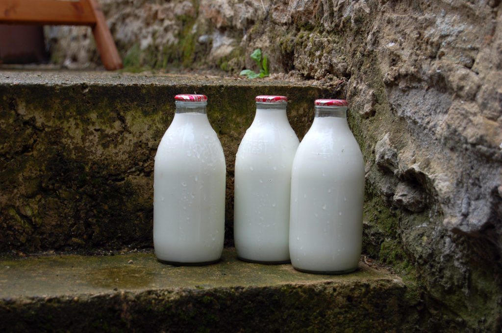 Initiative 1 cProjectB - : 5 initiatives pour rêver le système alimentaire idéal
