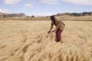 Humundi à la 6e Conférence UA-UE sur l’agriculture