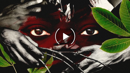 Image de couverture de la vidéo enquête de Bloomberg