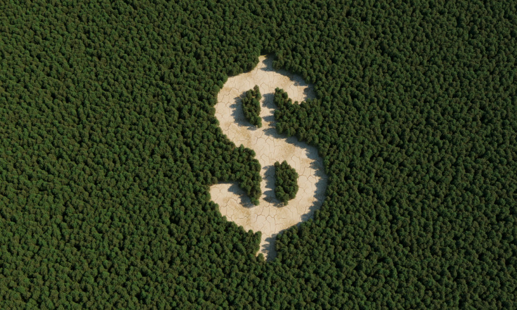 iStock 1326286087 - : Forêts en danger : qui paye la note ?