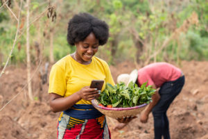 Quand la tech booste les récoltes en RDC