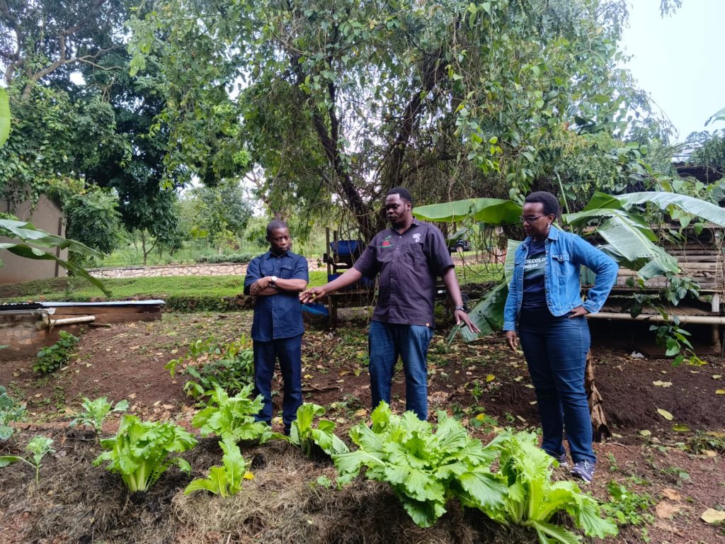 PHOTO 2025 04 16 09 47 36 - : Agroécologie en Ouganda : quelles leçons pour la RDC ?