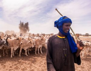 Changement climatique : comment agir concrètement en soutenant l’agriculture durable
