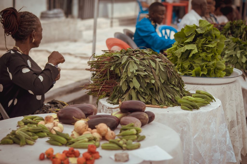 577182973 1313635930804082 8154045064762859097 n - : Le Festival AlimenTerre : cap sur l’Afrique !