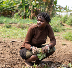 la jeunesse paysanne congolaise face à un DILEMME