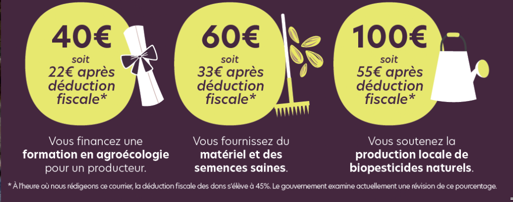 Capture decran 2025 12 19 a 10.35.01 - : À Kinshasa, un poison invisible menace l’alimentation