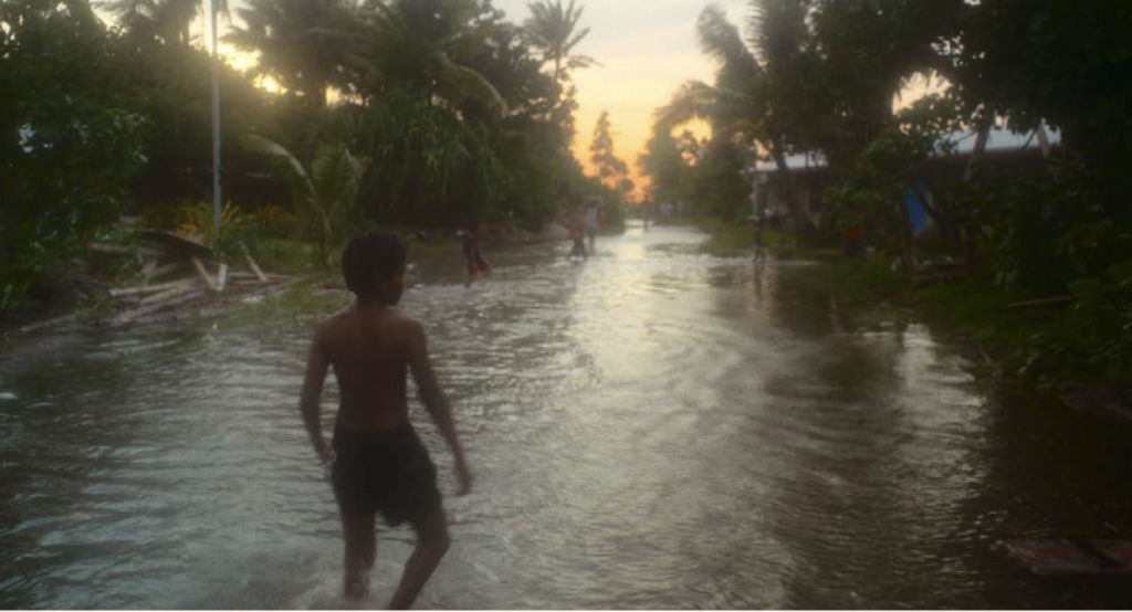 Capture decran 2026 01 20 a 17.37.06 - : Le Festival ALIMENTERRE revient avec une identité renouvelée