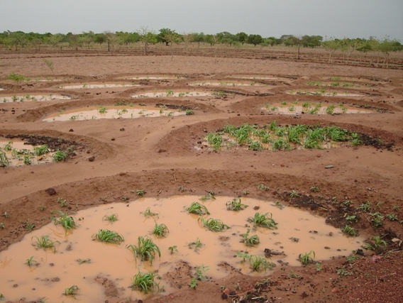 dlune une - : Sécheresse : comment l’agroécologie aide les paysans à s’adapter
