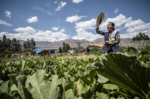 Bolivie : une gestion communautaire de l&rsquo;eau face à la sécheresse